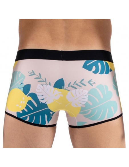 Boxer Lemon
