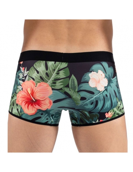 Boxer Look Me Arum